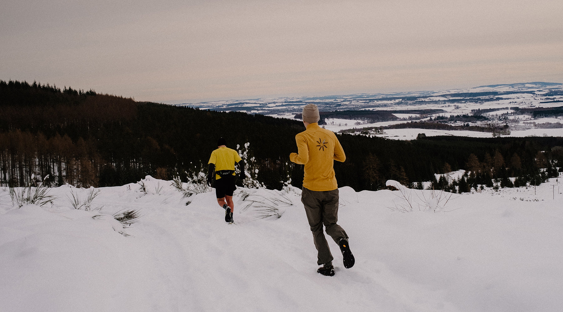 Breaking Trail at Pitfichie