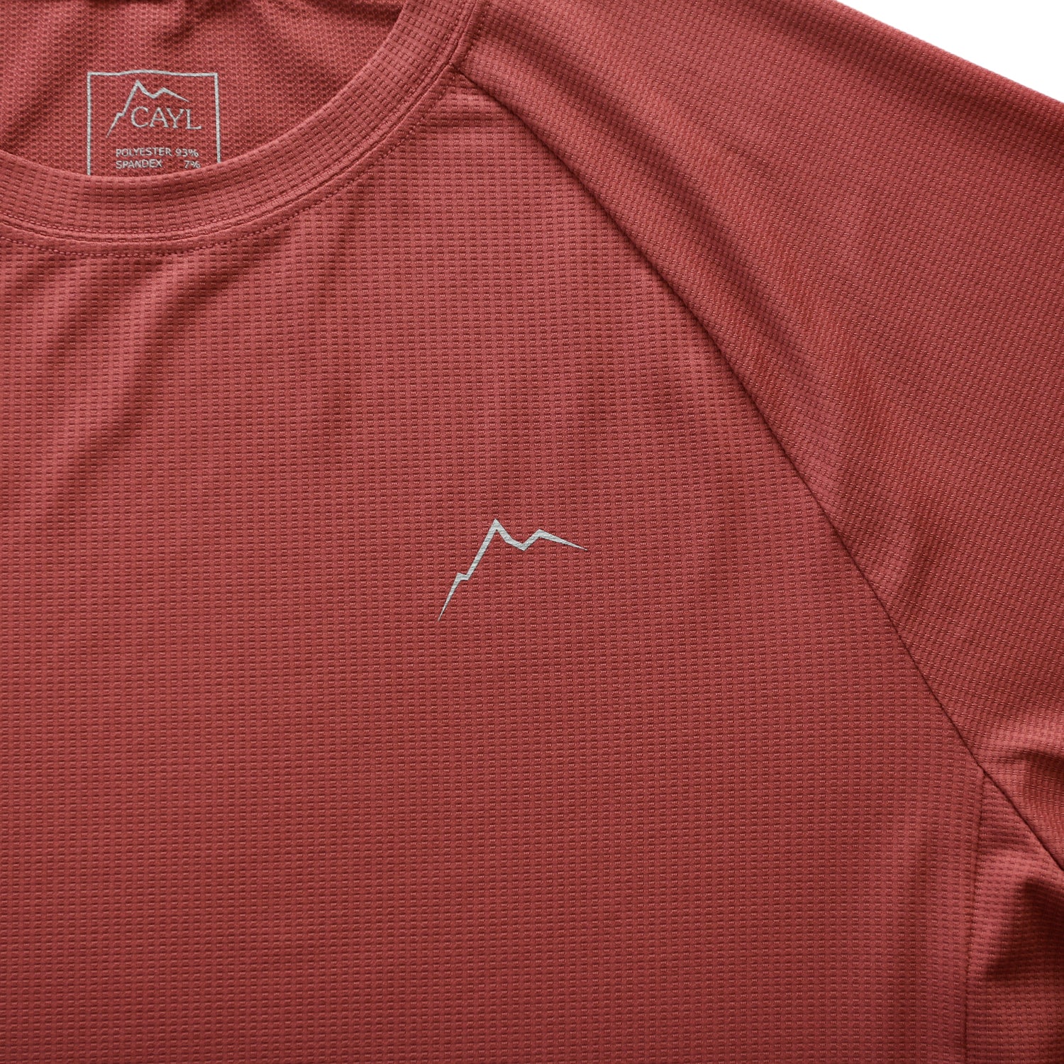 【CAYL】25ss logo air short sleeve CAYL LOGO AIR SHORT SLEEVE 透氣短袖排汗衫25SS